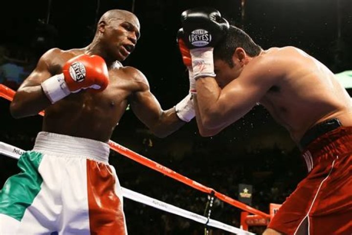 Boxing: Floyd Mayweather mocked the cheating Mexican ex-boxer Antonio Margarito